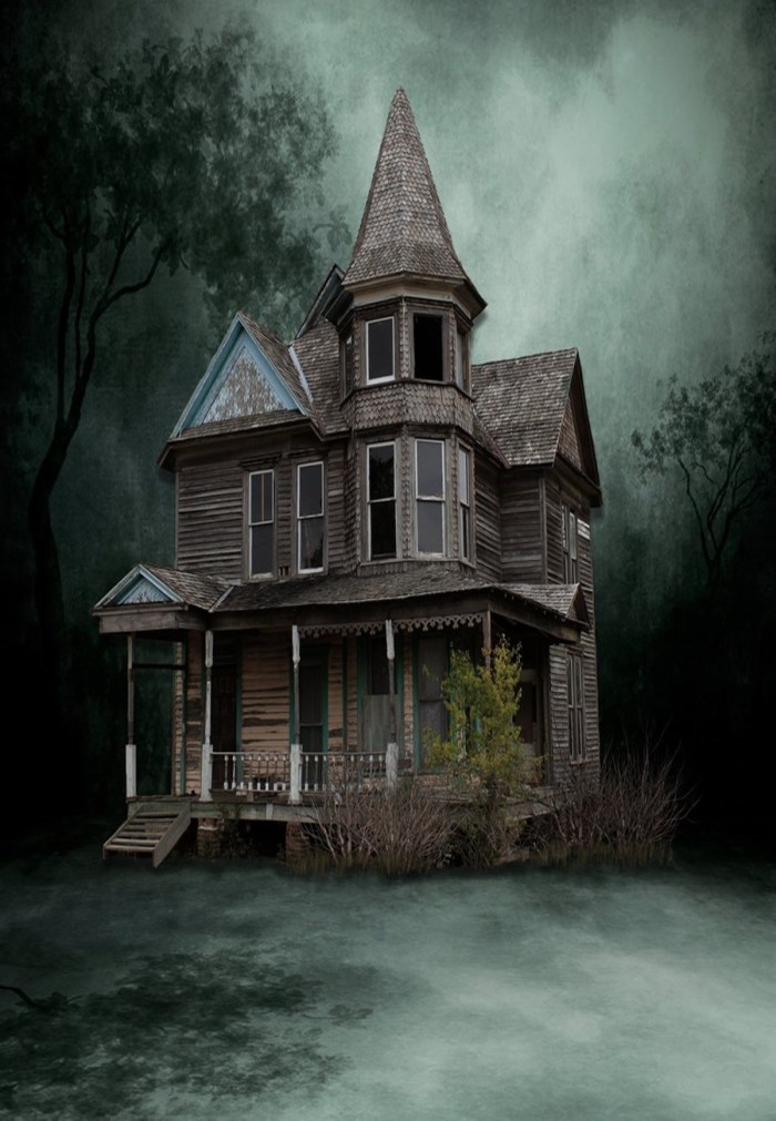 victorian_old_house_stock_by_mysticmorning-d4fu2p8